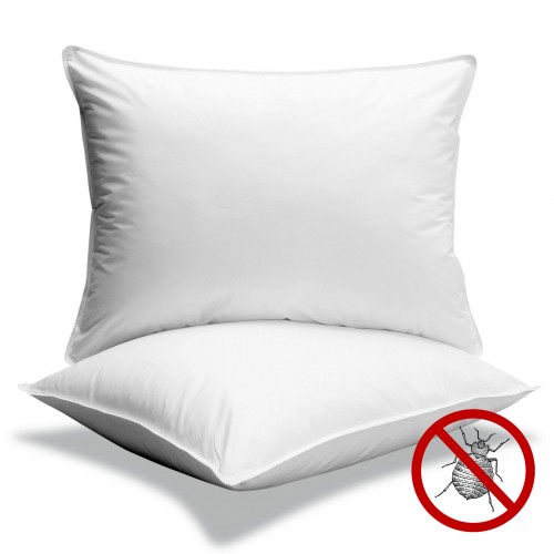 Oreiller anti-punaises de lit 60x60cm