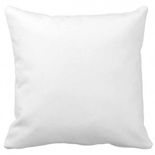 Oreiller anti-acariens